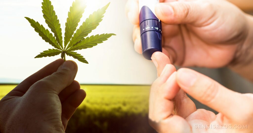 Overdose and Addiction with CBD oil – Is it Really Possible?